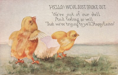 Chicks Hatching out of Egg Easter Chick Postcard