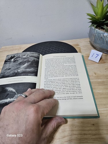 Dolphins The Myth And The Mammal By Antony Alpers 1964 Hardcover - Imagen 17 de 23