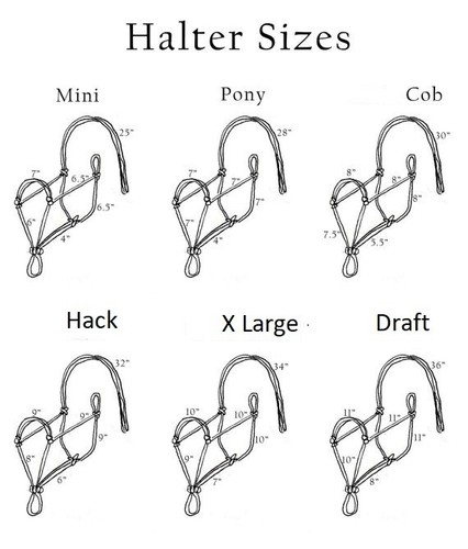 HORSE ROPE HALTERS WITH PADDED SOFT NOSE BIT - Picture 4 of 12