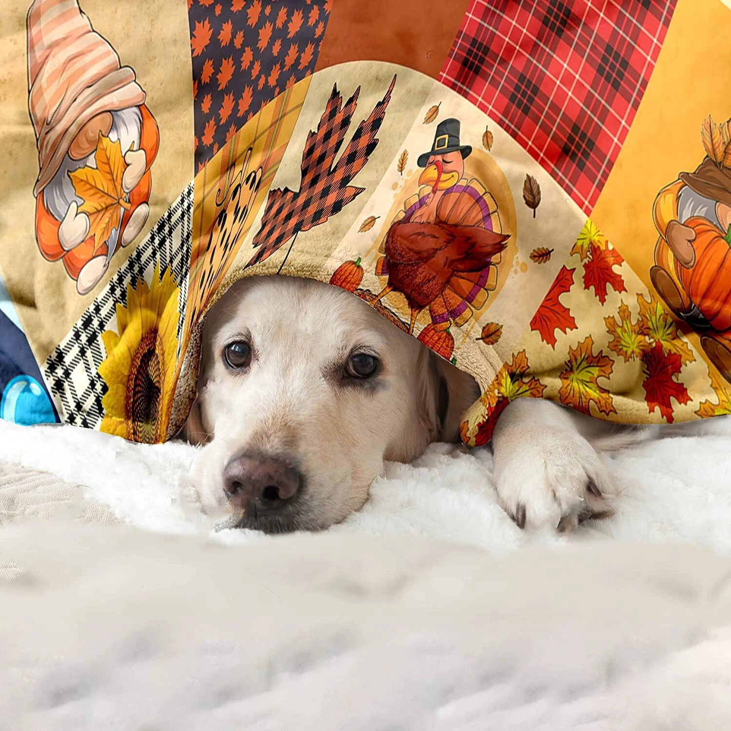Thanksgiving Pumpkin Blanket Super Soft Flannel Fleece Throw Blankets Pumpkin