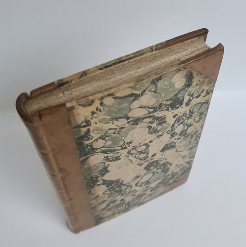 Stonehenge DRUIDS & Salisbury Guide SARUM J Easton 1809 SCARCE half leather VG++ - Foto 5 di 5