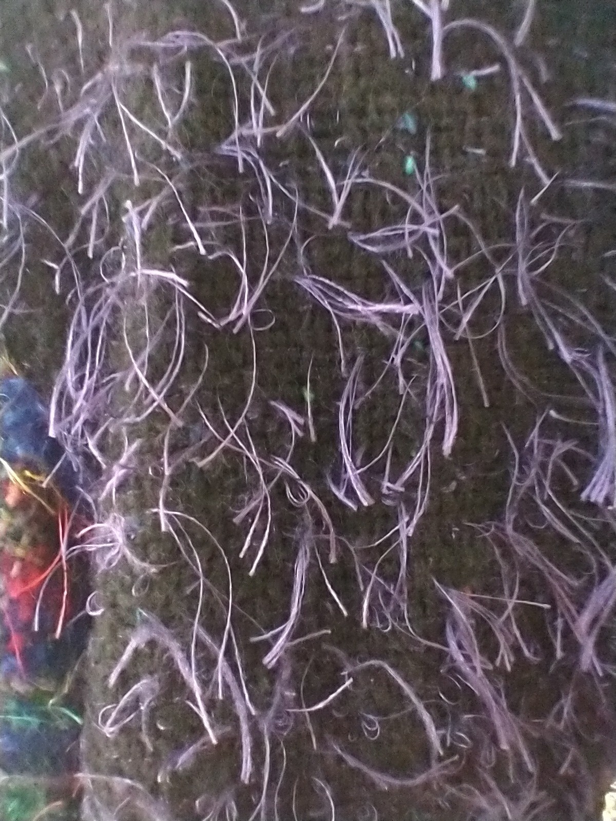 Picture 6 of 16