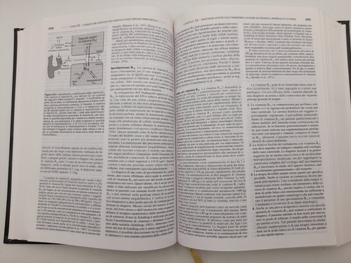 Le Basi Farmaceutiche della Terapia 2 volumi di Goodman & Gilman anno 2003 - Picture 13 of 17