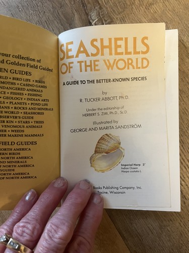A Golden Guide Seashells R. Tucker Abbott Ph.D 160 pages - Bild 3 von 7