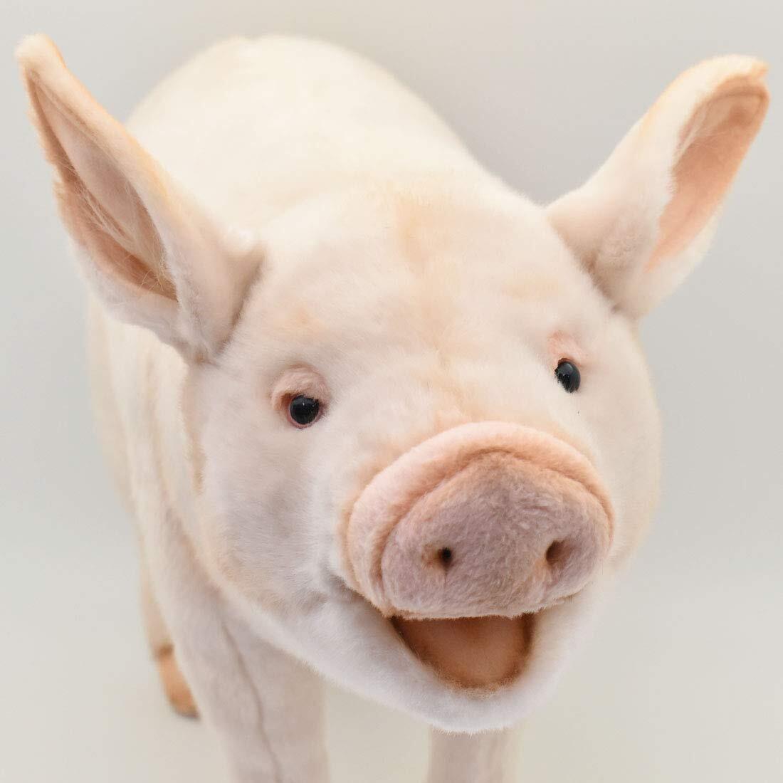 HANSA BH6347 Pig 63 Real Design Animal Plush Doll for 6 years old