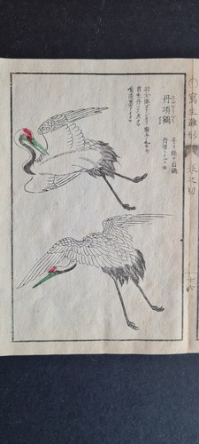 Antique (1908) Japanese woodblock print set- Kiyoshi Takizawa - Storks & Cranes - Picture 2 of 7