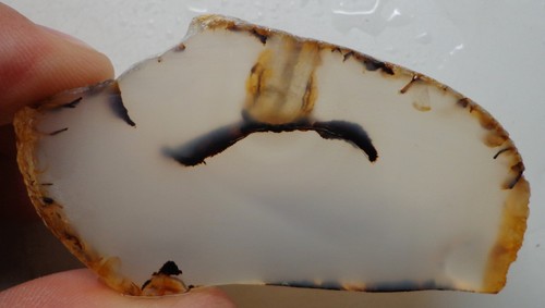 WRG- Montana Agate Slab 30 grams Lapidary Old Stock - Picture 1 of 5
