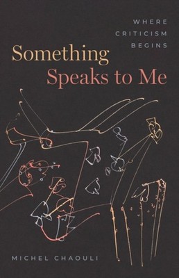 Something Speaks to Me Where Criticism Begins by Michel Chaouli (Paperback Book)