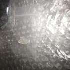 Picture 6 of 8