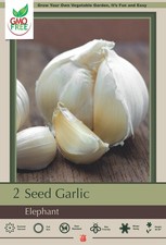 Elephant Garlic Bulbs - Be Healthy  Heart Smart - 1 Bulb
