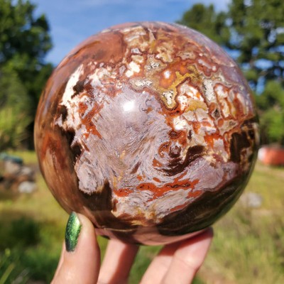 XL Petrified Wood Lilac Pink Fossil Crystal Sphere 1580 Grams 101mm