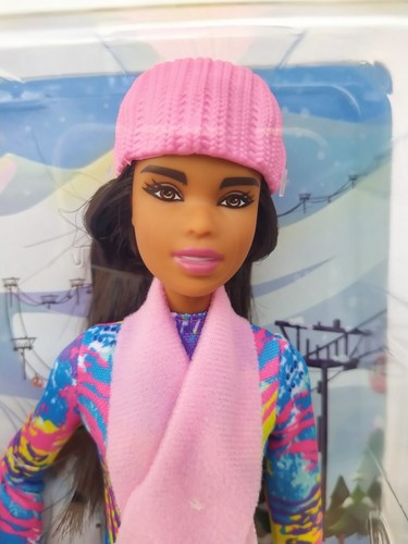 Barbie Winter Sports Puppe Mattel HGM74 Doll sled winter adventure Neu - Bild 2 von 7
