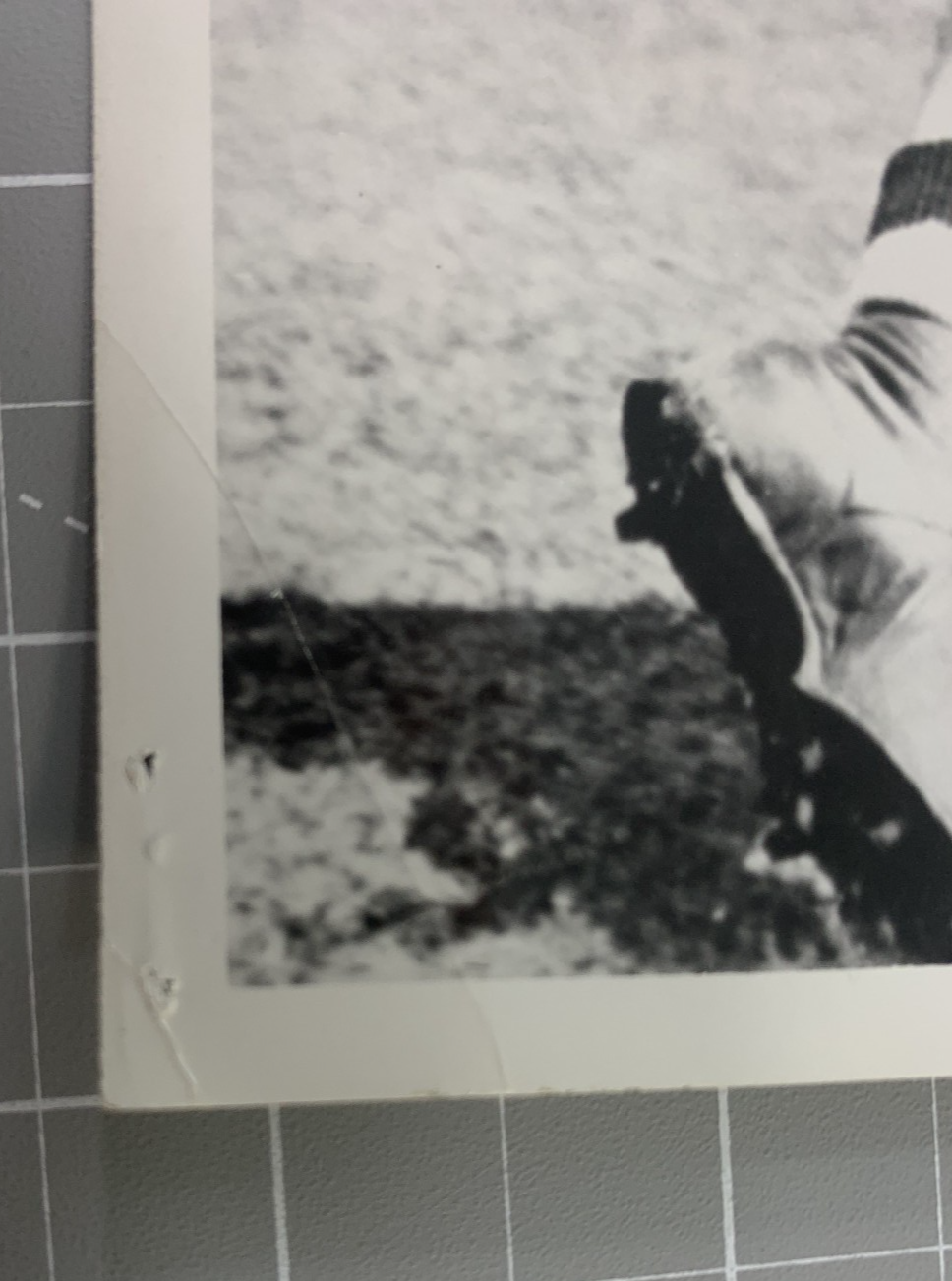 Picture 4 of 7