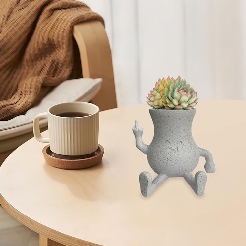 Cartoon Succulent Cactus Planter Pot Funny Indoor Flower Plant Resin Pots Decor - Picture 3 of 11