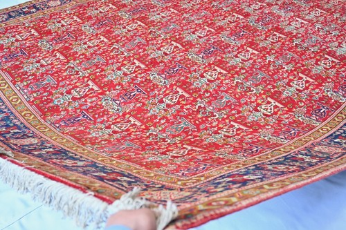 Red Vintage Caucasian Area Rug 10x13 Antique Hand Knotted Oriental Wool Carpet - Picture 11 of 12