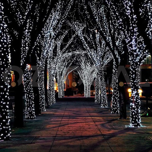 100-1000 LED Solar Fairy String Lights Outdoor Garden Christmas Party Decor Xmas - Picture 8 of 16