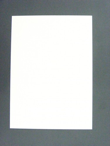 John Taylor 1994 Playoff Blank Back Error San Francisco 49ers - Picture 2 of 2