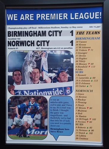 Birmingham City 1 Norwich City 1 - 2002 play-off final - souvenir print - Picture 1 of 5