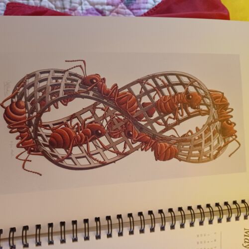 M.C. Escher : Poet of the Impossible - 1995 Engagement Calendar Excellent - Imagen 3 de 6