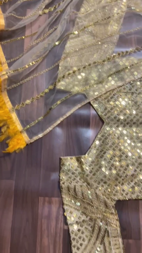 NEW ETHNIC BOLLYWOOD INDIAN WEDDING PARTY WEAR DESIGNER PAKISTANI LEHENGA CHOLI - Vídeo 1 de 1