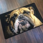 NEW BULLDOG DOGS DESIGN DOORMAT GREAT QUALITY 50CMX80CM NON SLIP BLACK BEIGE