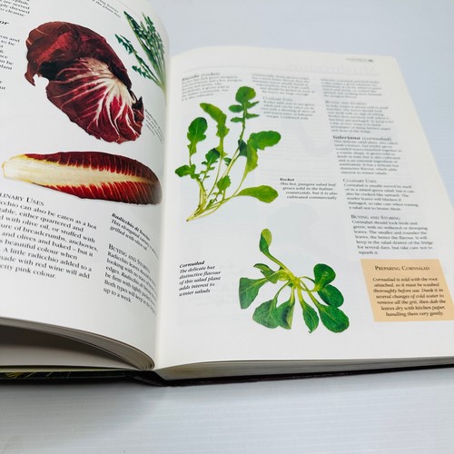 The Italian Cooking Encyclopaedia Hardcover Book Large Recipes Vintage 1998 - Bild 20 von 22