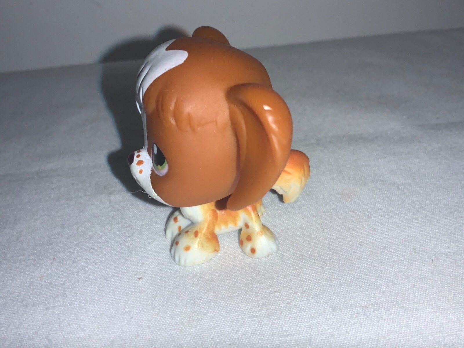 Picture 5 of 6