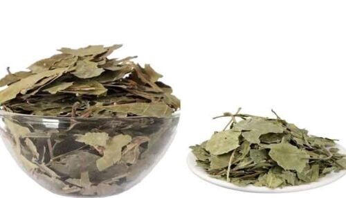 Dried Bael Fruit Leaves 100g Bilva Bel Patra Organic free shipping world wide - Picture 2 of 3