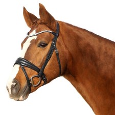 Euroriding Trense SENSITIV mit Strass schwed,. Reithalfter schwarz ohne Zügel