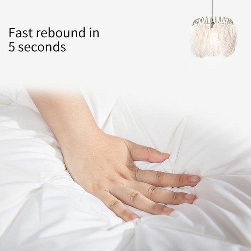 Almohadas de pluma de plumón de ganso para dormir 100 % algodón cama de relleno natural - Imagen 3 de 13