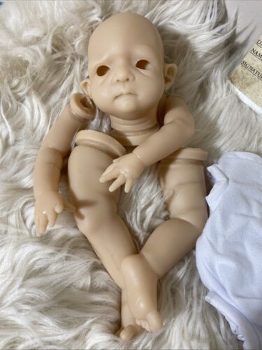 AUTENTICO RARO KIT BIANCO Reborn "Barnabe" #216 COA ~ESAURITO❣️ Nefer Kane~ 2017 - Foto 2 di 10