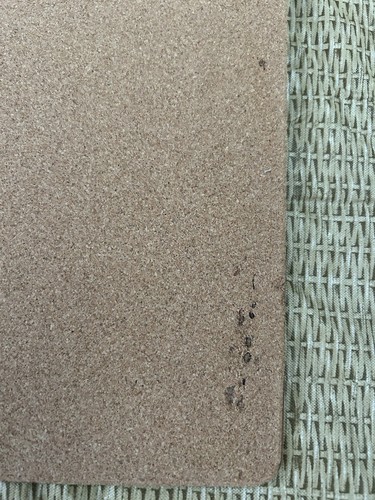 Set Of 6 Cork Backed Placemats. Palm Tree Design. 9”x 12” Lightly Used. - Picture 7 of 7