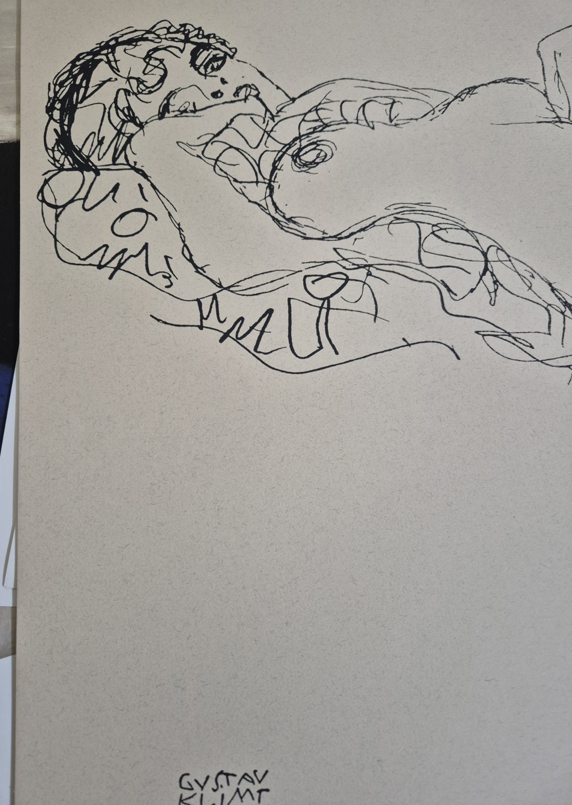 Picture 6 of 13