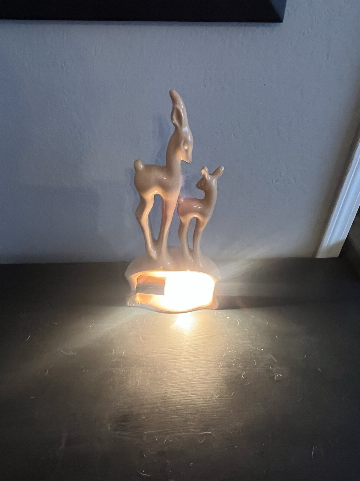Picture 5 of 5