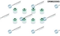 Dichtungssatz, Ventilschaft Einlassseite - Dr.Motor Automotive DRM02556S