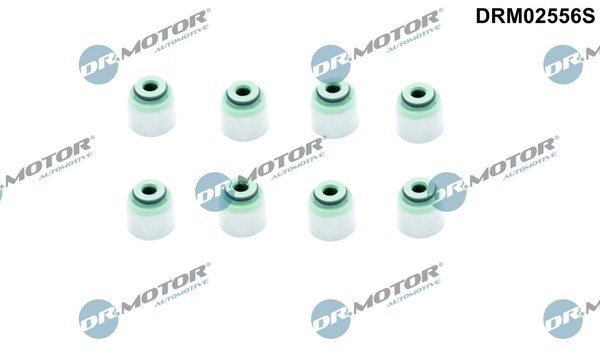 Dichtungssatz, Ventilschaft Einlassseite - Dr.Motor Automotive DRM02556S-image
