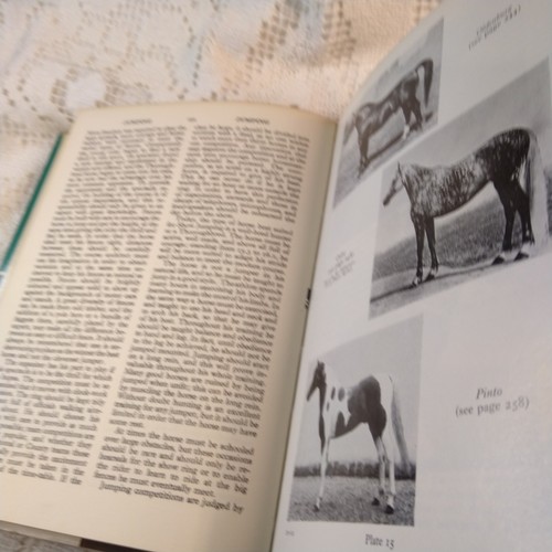 Summerhays Encyclopaedia for Horsemen ISBN 0723212619 5th Revised Edition - Picture 18 of 18
