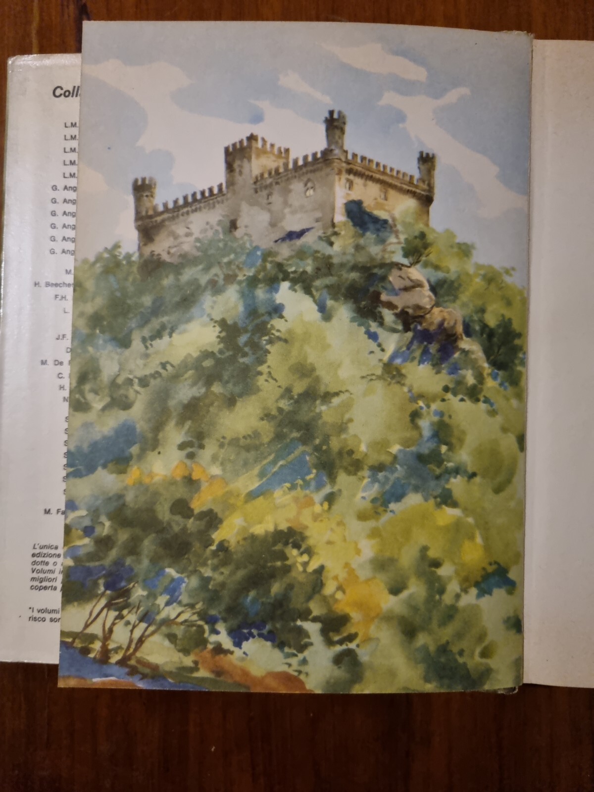 Foto 4 di 11