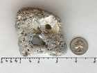 Bild 4 von 12