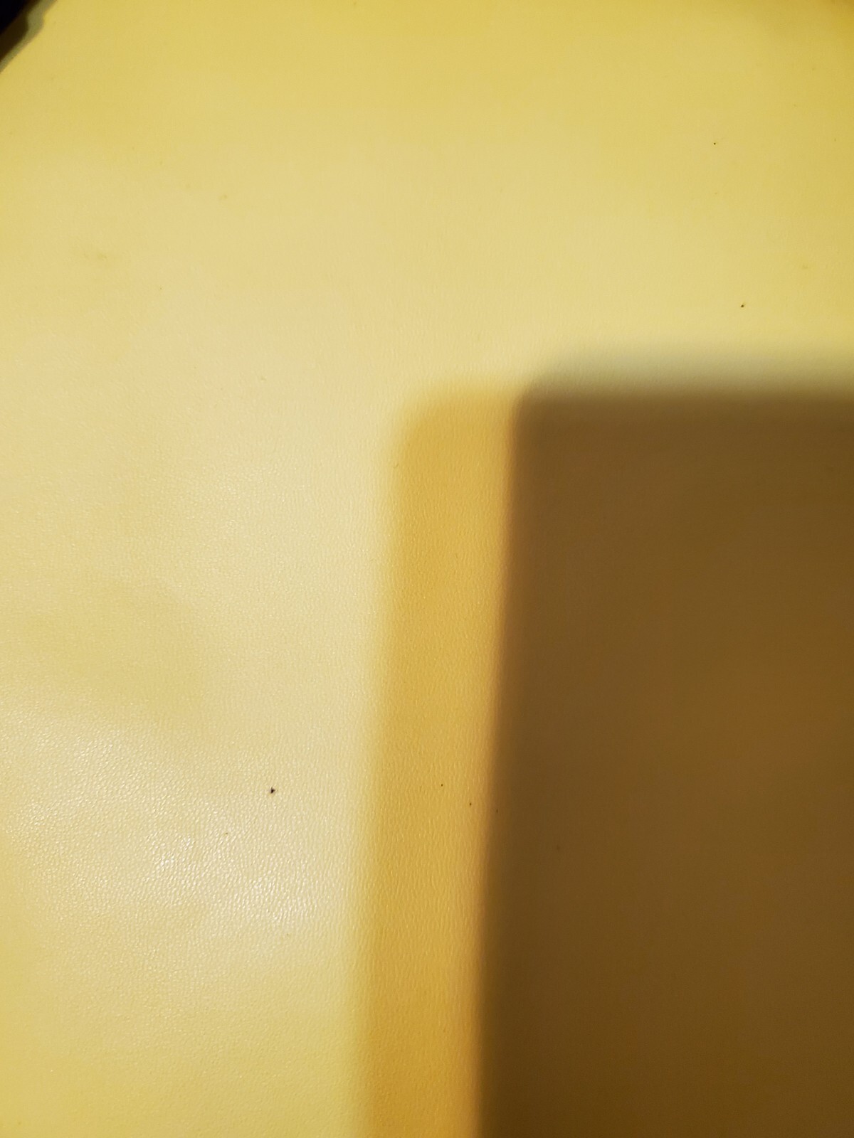 Picture 3 of 5