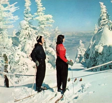 Winter Wonderland - New England Style New Hampshire 1960s Vintage Postcard UNP