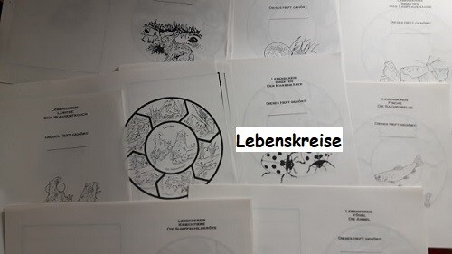 Bäume Blätter Früchte Buche Eiche Kastanie Ahorn baumscheibe KV - Bild 9 von 24