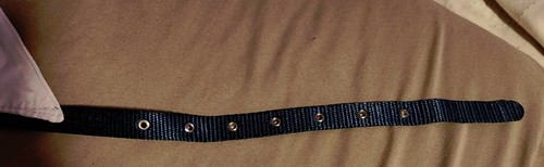 Prima gli animali domestici - indiani Cleveland con licenza ufficiale - bandana collare riflettente - Foto 10 di 13