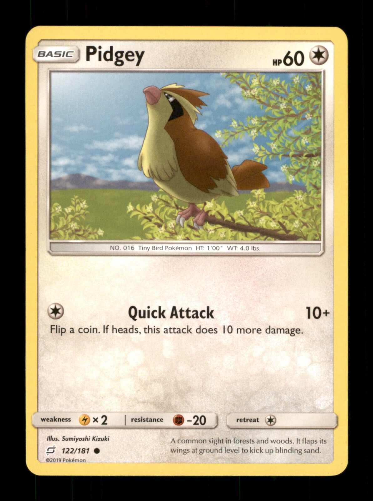Pidgey 122/181 Non-Holo Nintendo  Pokemon Trading Card TCG 