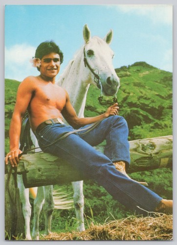 Island Cowboy Gay Postcard – Shirtless Paniolo w/ Horse & Flower Behind Ear - Picture 1 of 2