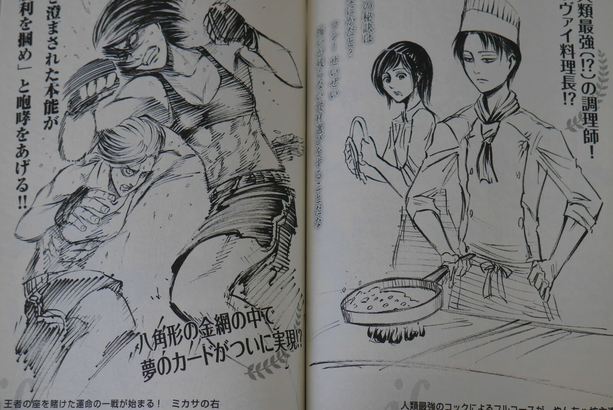 JAPAN Attack on Titan / Shingeki no Kyojin Guide Book 