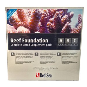 red sea reef foundation