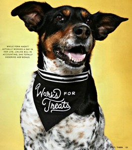 black and white dog bandana