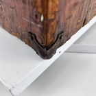 Bild 13 von 18