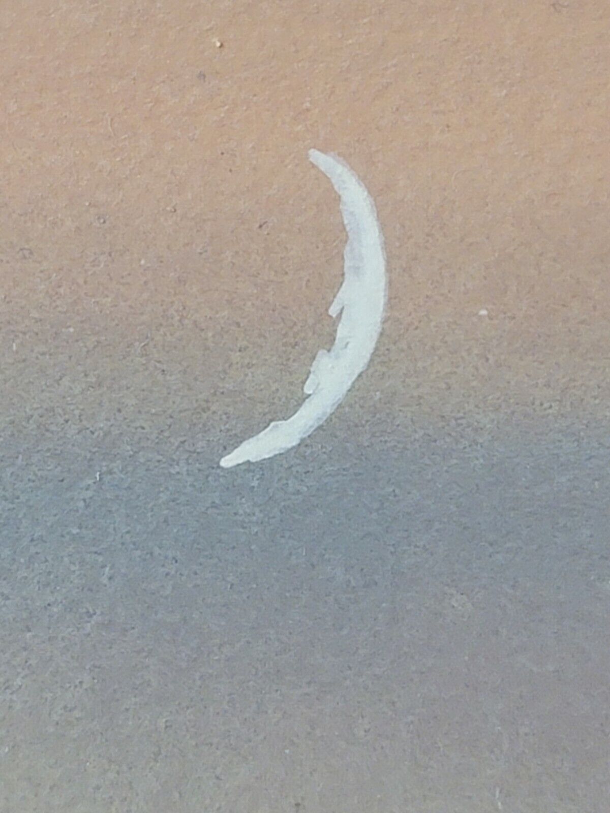 Picture 5 of 12